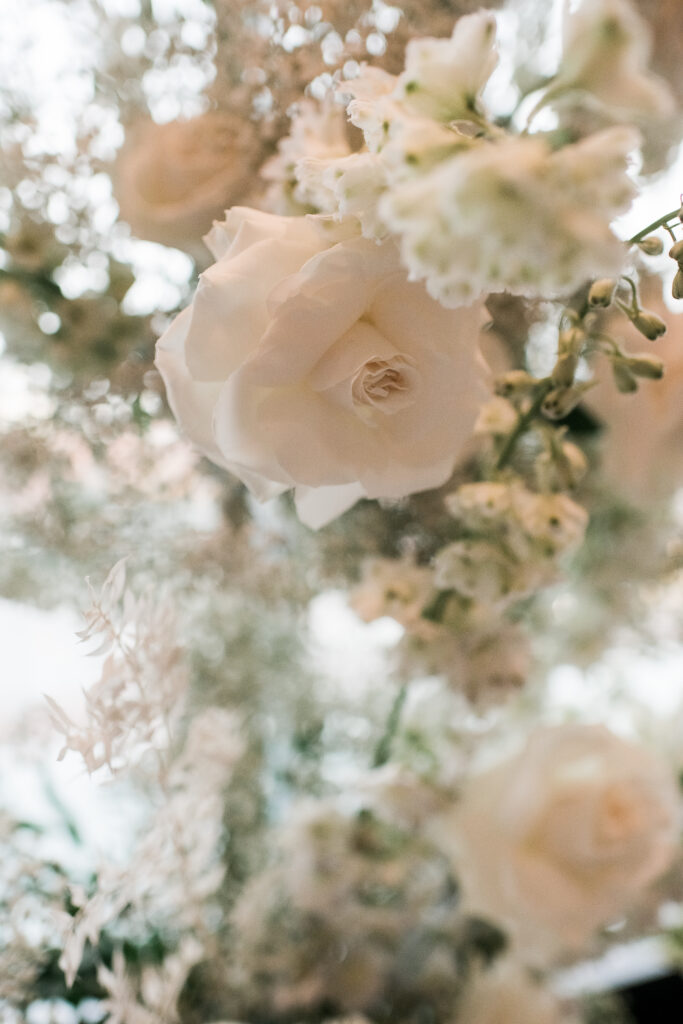 Gypsophila White Reflex Roses Wedding Flowers 